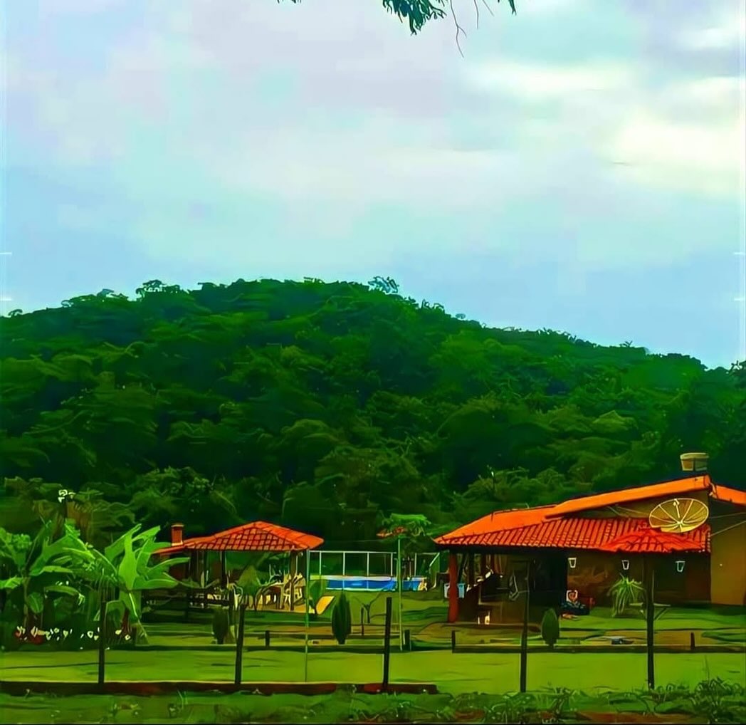 Fazenda - Morrinhos/GO